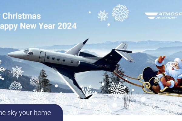 We wish You Merry Christmas and a Happy New Year!